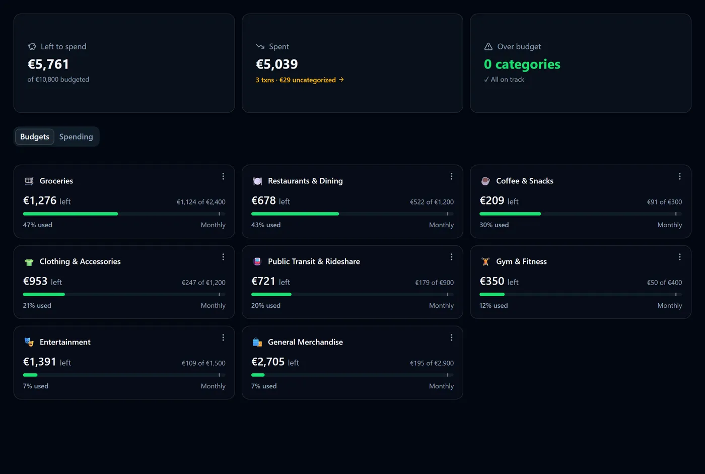 A newly created budget on the Budgets page, on pace for the month
